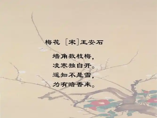 梅花 [宋]王安石 墙角数枝梅, 凌寒独自开. 遥知不是雪, 为有暗香来.