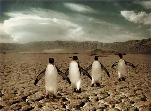 全球变暖是当今世界面临的一个重大环境问题.