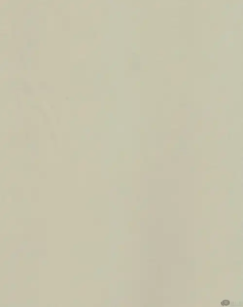 60*37 75*75 100%p 240高f消光春亚纺 吸湿快干 米色_梭织面料供应商_