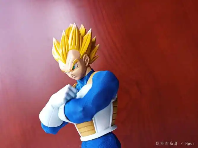 相册:速趴贝吉塔! by 铁拳新岛真 | hpoi手办维基