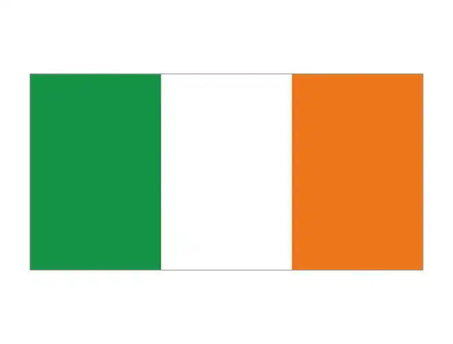 爱尔兰国旗矢量图
