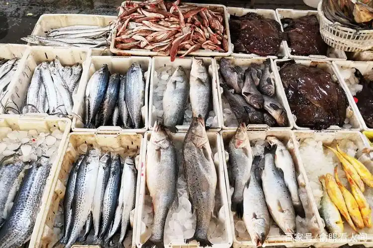 新鲜鲅鱼十几斤重35元一斤 皮皮虾最低40元一斤 寒冬鲜海鲜好贵