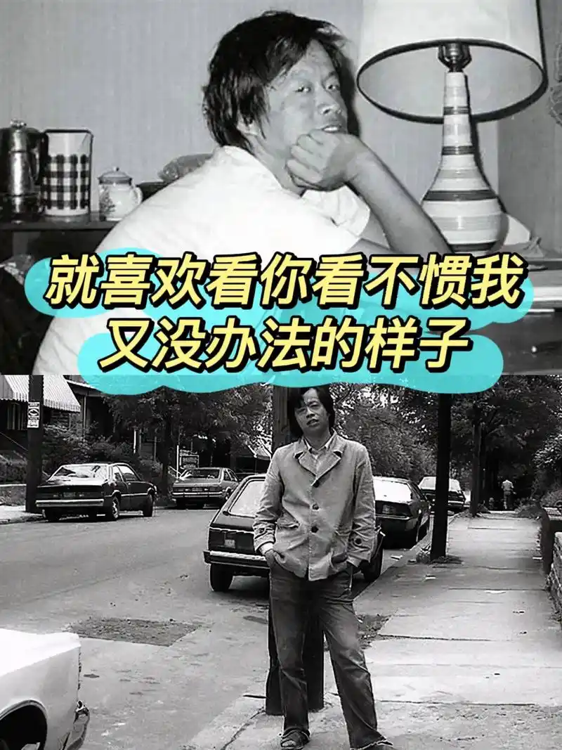 论如何用王小波怼天怼地怼一切.要是说文学作品得评个"实用"奖 - 抖音