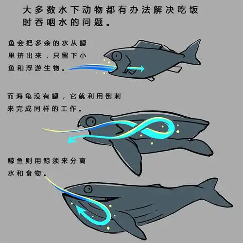 你可能从未见过海龟怪兽般的口腔也不知道其背后的科学道理