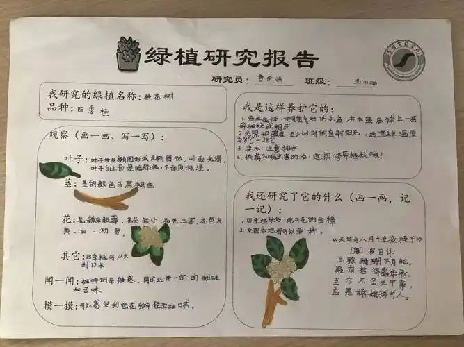 润童心 ——泰州实验学校"绿植小园丁"劳动课程实践_植物_种子_种植