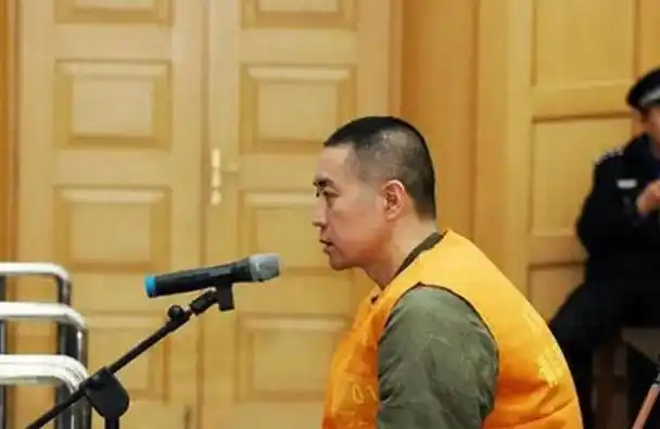 2013年聂磊被押到火葬场抬进死刑执行车受刑过程中他表情镇定