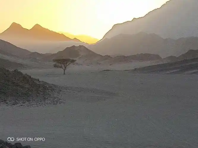 第十一节:景别:远景和全景