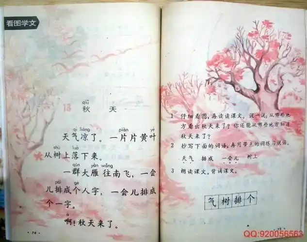 多美啊那时候的语文80年代人教版一年级