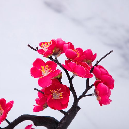 仿真陶瓷大红白大红腊梅花瓶小花绢花花梅中式仿真花