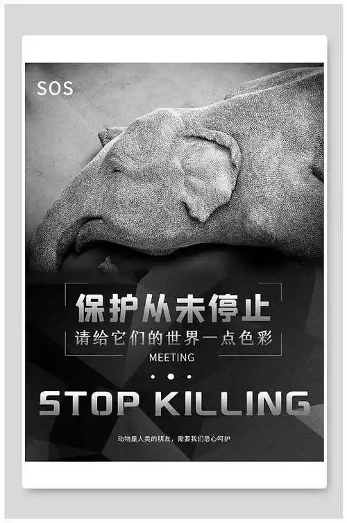 大气高档保护野生动物大象海报