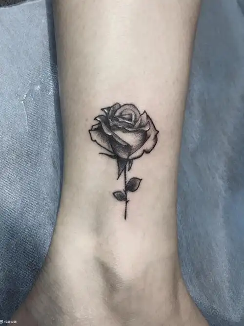 脚踝玫瑰_纹身图案手稿图片_爬爬的纹身作品集