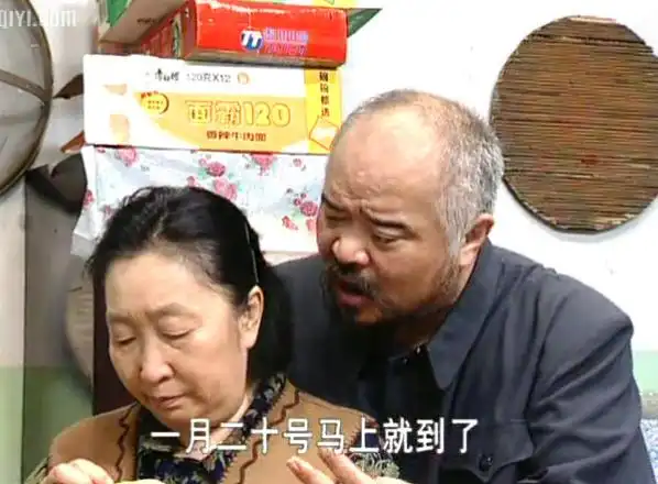 大型电视情景喜剧东北一家人20片装(vcd)