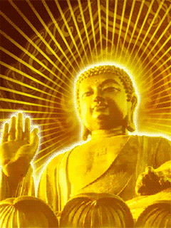 240_320竖版 竖屏gif 动态图 动图