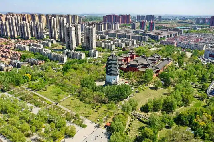 沈阳这些地方太"出圈"了!_公园_旅游_国际