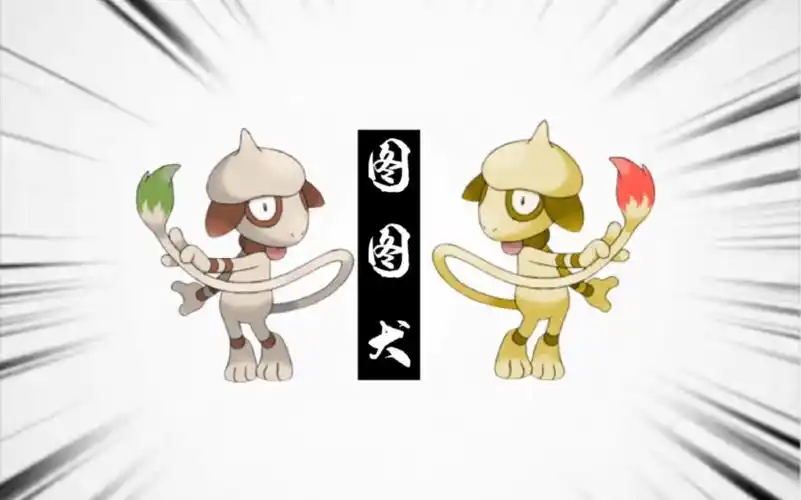 宝可梦"大型"纪录片——《图图犬》