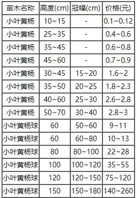 小叶黄杨盆景价格多少钱,小叶黄杨盆景怎么养殖
