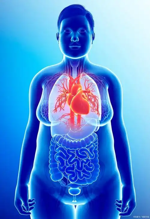 时,医生意外发现她的肝脏,脾脏,胆囊等内脏器官的位置与常人完全相反