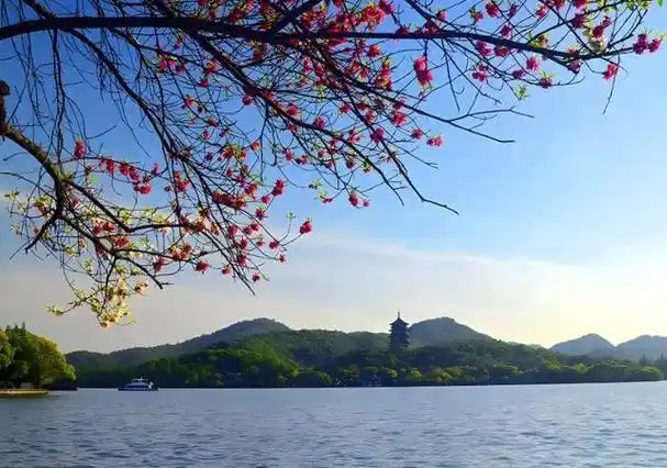 小楼周刊3882024年第14期