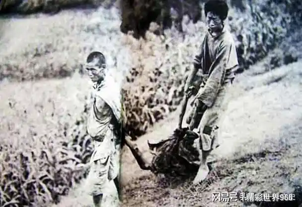 1936年,一个外国记者进入四川,目睹了大灾下人吃人的惨状