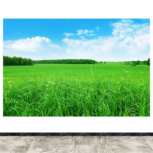 草地大草原自粘装饰画蓝天白云绿色护眼客厅办公室书房墙贴壁画