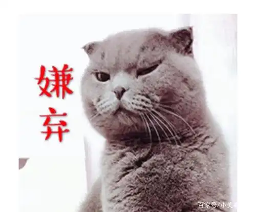 呆在家的你被父母嫌弃了吗