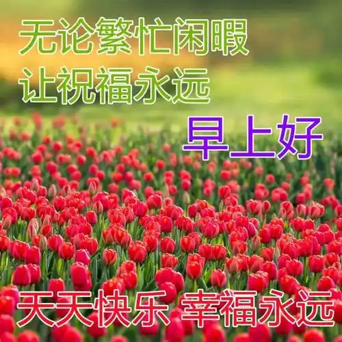 原创8张最新漂亮风景早上好祝福图片早安漂亮图片温馨问候祝福语