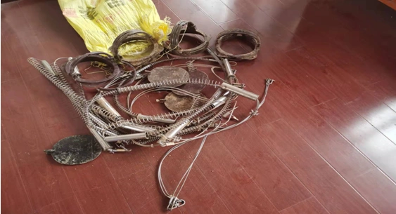 遂川他给野猪下套结果把自己套住