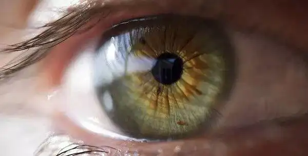 图片来源:视觉中国