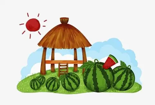 滚来滚去的西瓜