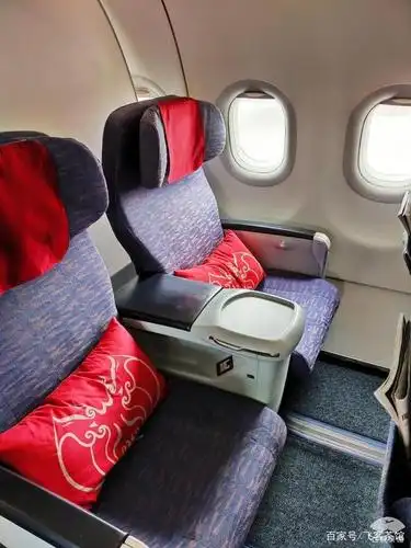 打卡川航空中商务舱!航班延误近5小时,机上养猪梦想以失败告终