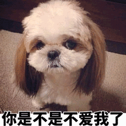 你是不是图片_你是不是动态图_你是不是表情包gif动图下载_soogif