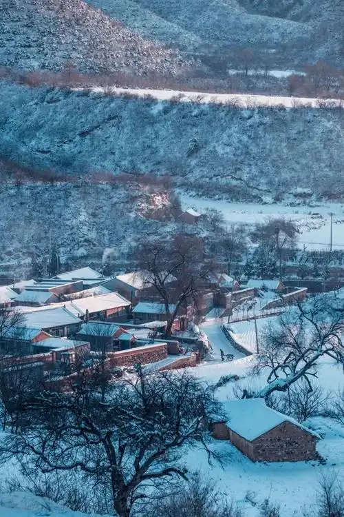 24个村庄,260座农宅,解开乡村民宿走红的私域密码