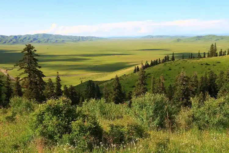 p>红原日干乔湿地景区是世界上最大的高原湿地——若尔盖湿地保护区