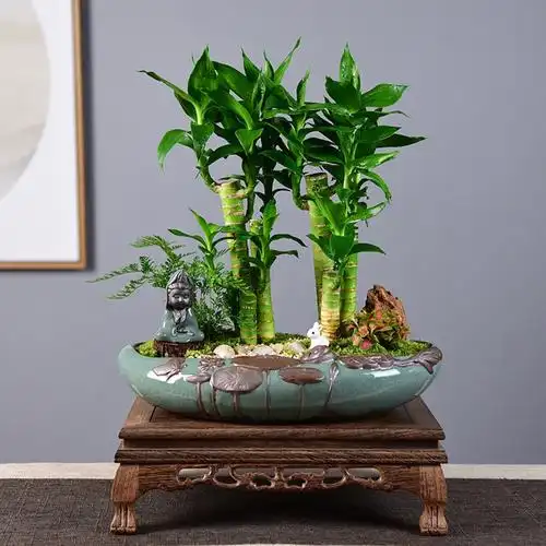 花开富贵竹报平安