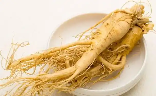 西洋参与人参的区别外表(西洋参与人参的区别有哪些)图3