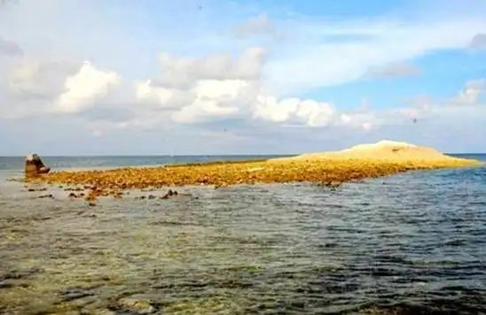 南沙群岛琼台礁,我国最南端的陆地岛屿,全岛只有一棵树