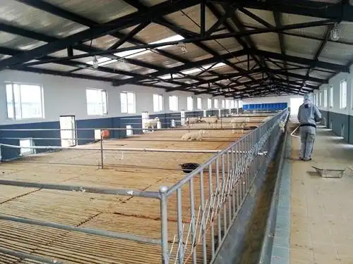 供应阿荣旗莫旗羊舍海拉尔满洲里加格达奇羊舍