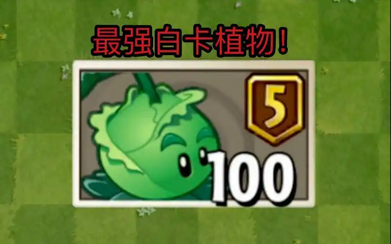 5阶卷心菜测评!白卡伤害之巅!_植物大战僵尸2_攻略
