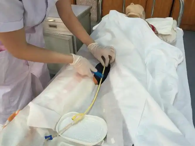 移近弯盘,右手用镊子持导尿管对准尿道口轻轻插入4-6cm(男性患者,提起