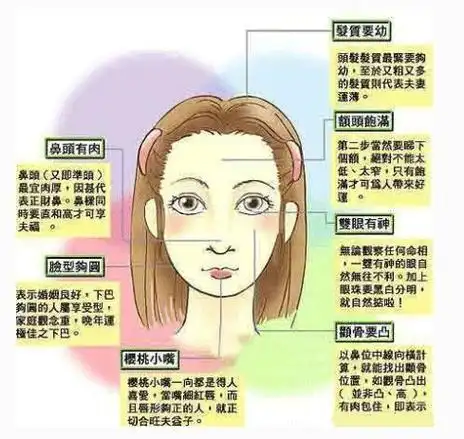 富贵女人的面相特征二:下巴比较丰满(可能会拥有两栋以上房产);富贵
