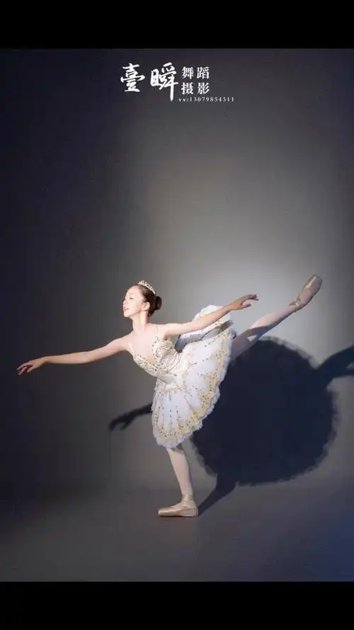 艺拍拍·舞蹈摄影 的想法: 白天鹅06芭蕾艺术照 | 独特 br>从来不是