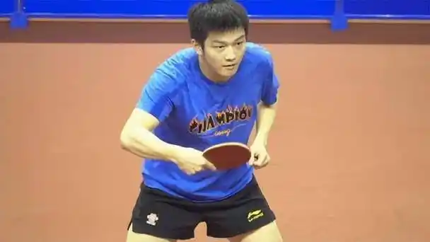 《国家队教学》第39集:樊振东反手防弧圈球动图教学