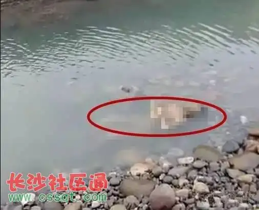 四川宜宾南溪12岁双胞胎玩水 大双溺亡 小双失踪!