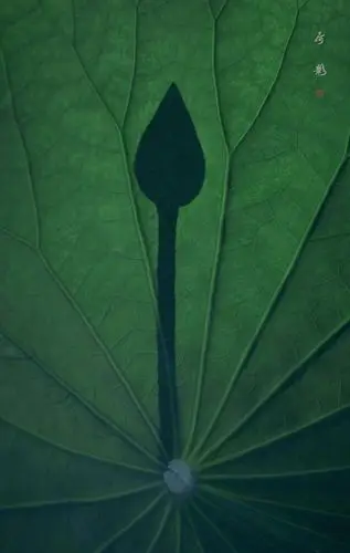 760_1200竖版 竖屏