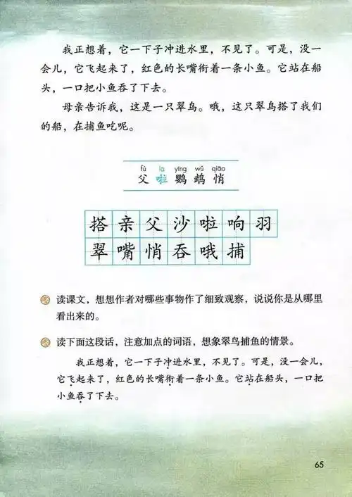 第五单元 15 搭船的鸟(3)-三年级语文上册(部编版)