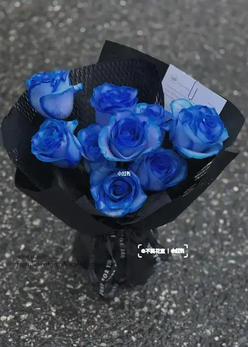 克莱因蓝玫瑰|南昌花店