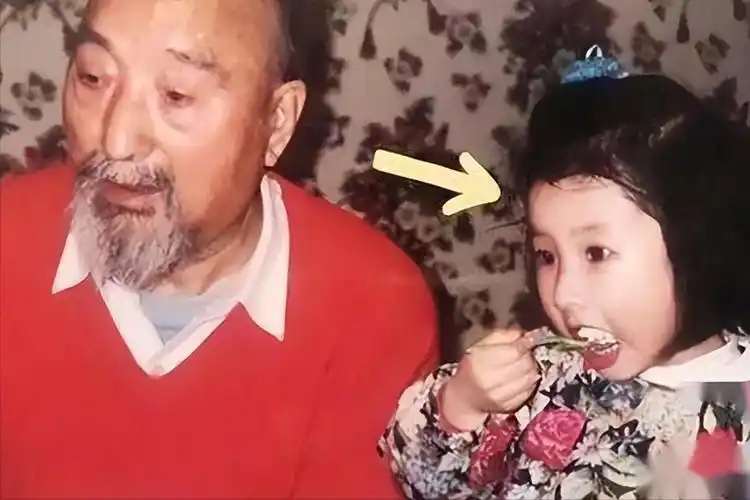 舅舅是陈佩斯,外公是影帝,爸爸是国家一级演员,她却甘愿当网红_张嘉芸