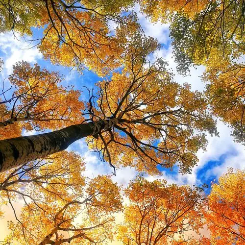 微信相册背景图库(八)