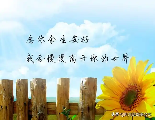 愿一切安好的优雅句子愿你余生安好