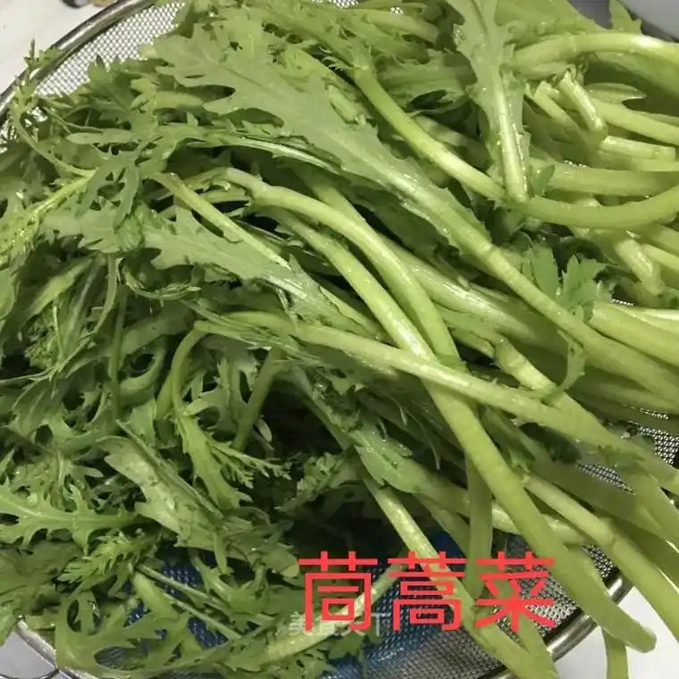 所有绿叶菜在北方人眼里都叫"青菜"989898#青菜 - 抖音